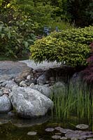 rocks beside pond in Japanese-themed garden. 