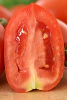 Solanum lycopersicum 'Falcorosso' - Tomato 'Falcorosso'