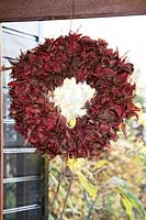 Wreath made from red foliage.