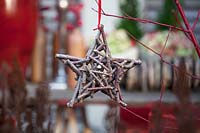 Star made from small twigs hanging from Cornus