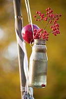 Nandina domestica in bottle hanging with ribbon 