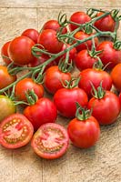Solanum lycopersicum - Tomato 'Red Bolero'