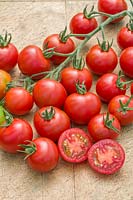 Solanum lycopersicum - Tomato 'Red Boy'