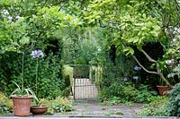Agapanthus growing in container in informal pool side garden, Hanham Court Gardens, Bristol, owner Boissevain.