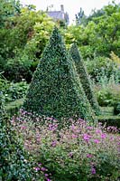 Topiary in mid sumer at Hanham Court Gardens, Bristol, owner Boissevain.