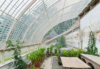Restored iron-framed curvilinear glasshouses. Wildegoose Nursery, The Walled Garden, Lower Millichope, Munslow, Shropshire, UK.
