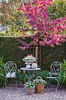 Relaxing area with metal garden furniture surrounded by blossoming Malus 'Paul Hauber' - Crabapple 'Paul Hauber'. 