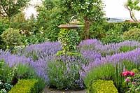 Central stone urn covered with Hedera - Ivy surrounded by Lavandula -Lavender.