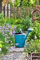 Metal watering can on gravel pathway surrounded by flowering borders. 