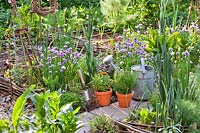 Display of tools and potted herbs including Origanum vulgare - Oregano, Rosmarinus officinalis - Rosemary and Salvia officinalis 'Purpurascens'.
