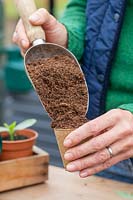 Woman filling biodegradable pots with compost using a scoop.