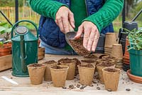 Woman topping up the biodegradable pots with compost, sown with french bean seeds. 