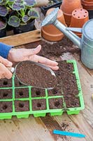 Woman adding a thin layer of compost to cover the seeds. 