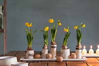 Floral arrangement with flowering Narcissus - Daffodils, birch branches and eggs.