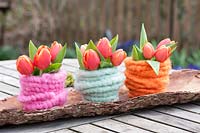 Trio of colourful felt-covered vases holding orange Tulips, displayed in wooden branch. 
