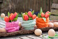 Trio of colourful felt-covered vases holding orange Tulips, displayed in wooden branch in eggs.