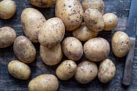 Solanum tuberosum - Potatoes on a rustic table with knife