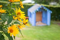 View past yellow flowers to blue painted children's playhouse in garden. 
