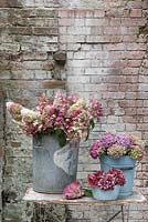 Buckets of garden hydrangeas in multi colours