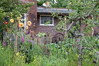 The Watchmakers' Garden at BBC Gardeners World Live 2019 - A view of watchmakers cottage surrounded by mixed wild planting