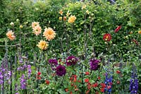 Cottage garden planting of dahlia and delphiniums in 'The Watchmakers' Garden' at BBC Gardeners World Live 2019