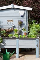 Pale blue painted summerhouse and raised planter with vegetables