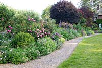 Mixed planting in Summer border 