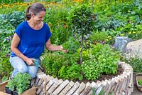Woman picking herbs from newly finshed raised herb bed