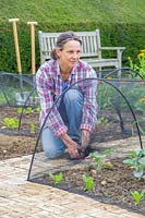 Woman setting up a netting tunnel in vegetable garden