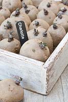 Wooden tray of chitting potatoes, labelled  'Charlotte'. 
