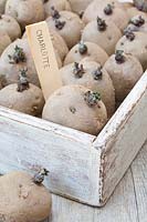Wooden tray of chitting potatoes, labelled 'Charlotte'.