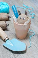 A chitting seed potato labelled 'Charlotte' and stick on googly eyes, in a terracotta pot with a trowel and a blue ball of twine. 