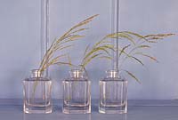 Trio of small vases with grasses