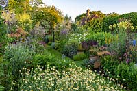 Mixed Herbs and Perennial Garden at Town Place in Sussex, UK. Planting includes Lavender Valerian Salvia, Artenesia Galegia officinalis 'Alba', Anthemis tinctoria