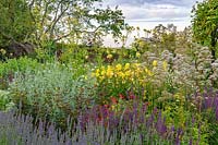 Mixed Herbs and Perennial Garden at Town Place in Sussex, UK. Planting includes  Lavender Valeriana officinalis Salvia Artemisia ludoviciana 'Valerie Finnis', western mugwort, Lavender Oenothera biennis evening primrose Agastache aurantiaca
