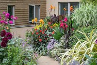 A path leads between semi-tropical planting in beds planted with cannas, dahlias, phormiums, miscanthus, asters, ornamental millet and plectranthus.