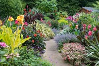 A path leads between semi-tropical beds planted with Canna, Dahlias, Phormium, Aster, ornamental millet, Fuchsia, Nepeta and plectranthus.