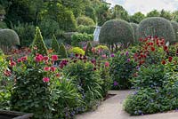 Flowering dahlias, geraniums and heleniums grow with clipped topiary in walled garden.