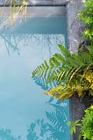 Ferns and reflections on a plunge pool in the A Place to Meet show garden at RHS Hampton Court flower show 2019 