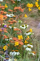 Mixed border with Achillea 'Walter Funke', Hemerocallis 'Golden Chimes', Echinacea purpurea 'White Swan' and ornamental grasses. The Phytosanctuary Garden at RHS Tatton Park Flower Show, 2019.
