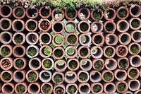  
Clay drainage pipe wall, with Sedum album and moss in the Very Hungry Caterpillar Garden, RHS Tatton Park Flower Show, 2019.