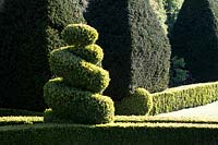 Spiral topiary form in parterre garden. Abbey House Gardens, Malmesbury, UK.