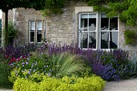 Flowering, herbaceous perennials in border by house. 