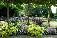 Borders of ornamental grasses and flowering perennials create soft texture, planted under pleached trees.
