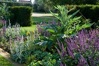Herbaceous perennial border in flower. 