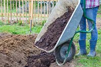 Woman tipping well rotted manure from wheelbarrow into trench.