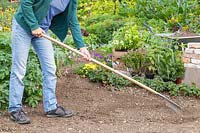 Woman raking the ground ready for building brick herb garden