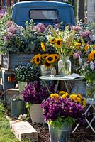 Buckets and vases of Purple Stocks, sunflowers, Eremurus, Alliums and Eucalyptus make up the display of Freddie's Flower stall at Hampton Court Palace Garden Festival 2019