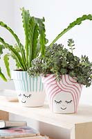 Houseplants in terracotta pots with a simple hand painted cute face design