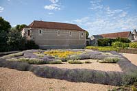 Blue and white Lavandula beds with central spot planting of Santolina at Chateau du Rivau